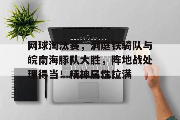 网球淘汰赛，洞庭铁骑队与皖南海豚队大胜，阵地战处理得当！精神属性拉满的简单介绍