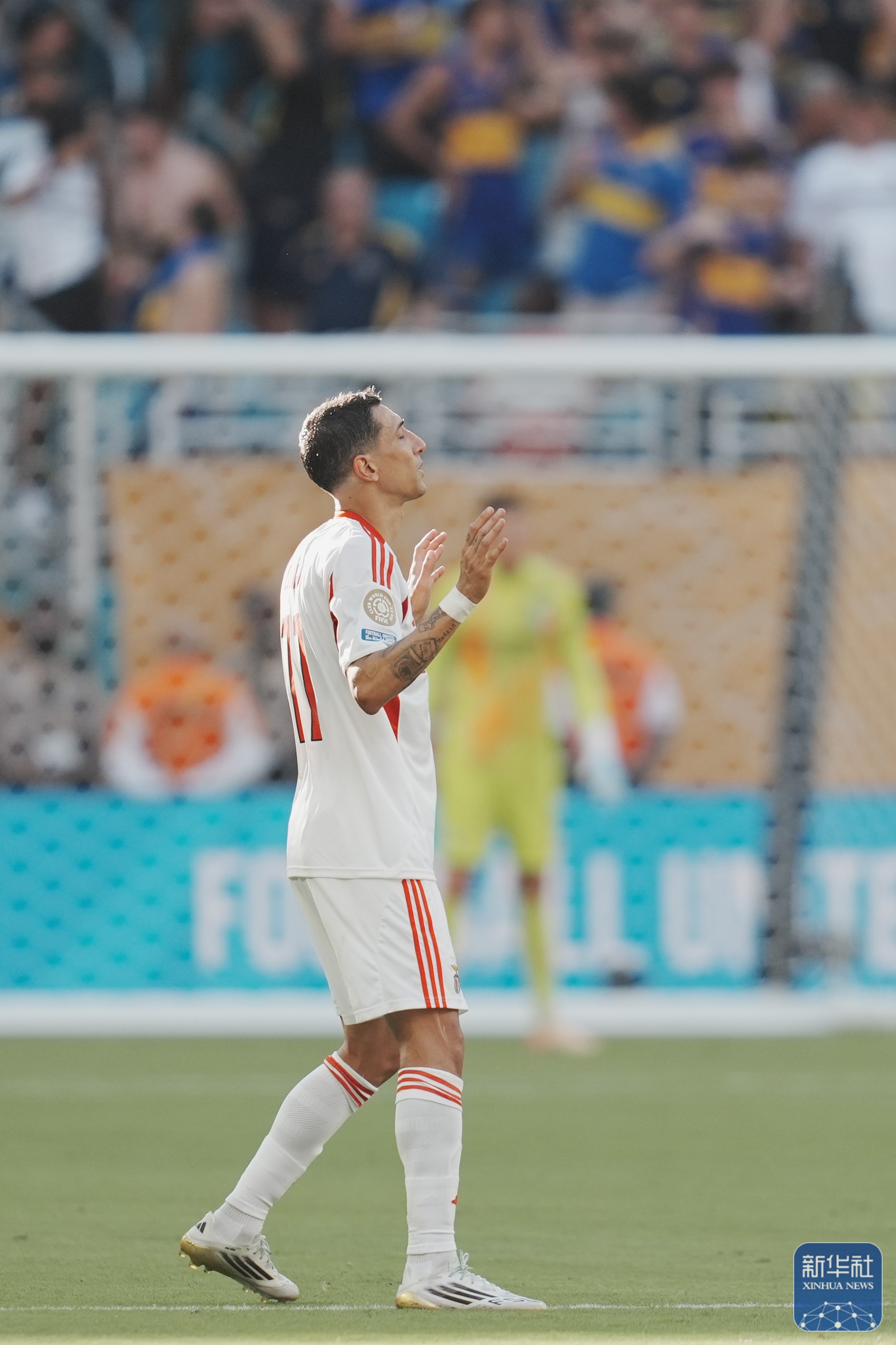 转会期葡超焦点战,博卡青年完成迎来里程碑,形势明朗,临场指挥获称赞 转会期葡超焦点战,博卡青年完成迎来里程碑,形势明朗,临场指挥获称赞